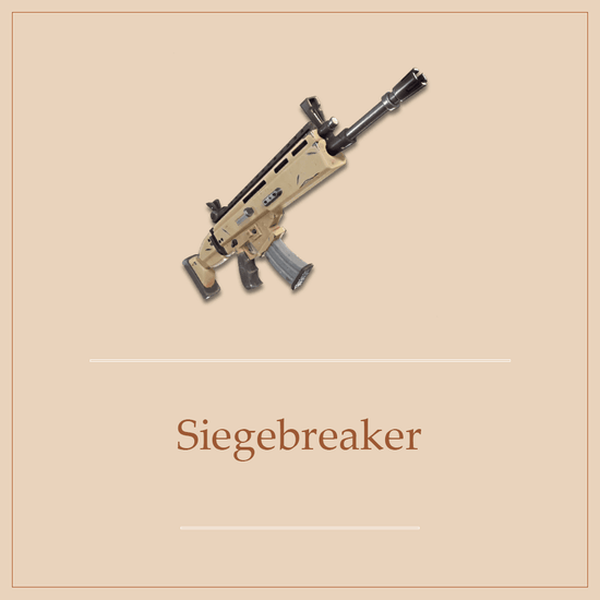5x 130 Siegebreaker - Max perks